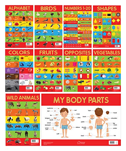 Early Learning Educational Charts For Kids - Pack of Ten Charts: Perfect For Homeschooling, Kindergarten and Nursery Students (11.5 Inches X 17.5 ... Fruits, Vegetables, Opposites, My Body Parts Early Learning Educational Charts For Kids - Pack of Ten Charts: Perfect For Homeschooling, Kindergarten and Nursery Students (11.5 Inches X 17.5 ... Fruits, Vegetables, Opposites, My Body Parts