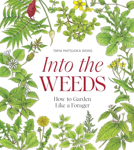 Into the Weeds: How to Garden Like a Forager von Hardie Grant Books