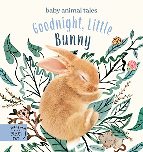 Goodnight, Little Bunny: A book about being brave (Baby Animal Tales) von Abrams & Chronicle Books