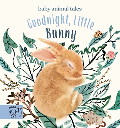 Goodnight, Little Bunny: A book about being brave (Baby Animal Tales)
