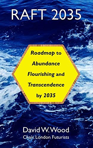RAFT 2035: Roadmap to Abundance, Flourishing, and Transcendence, by 2035 von Delta Wisdom