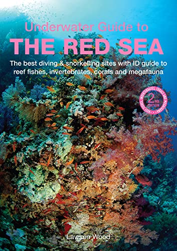 An Underwater Guide to the Red Sea (Underwater Guides) von John Beaufoy Publishing Ltd
