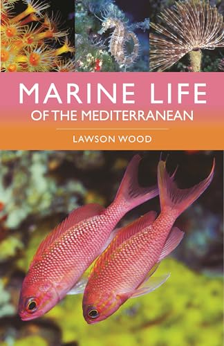 Marine Life of the Mediterranean von Bloomsbury Wildlife