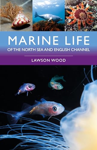 Marine Life of the North Sea and English Channel von Bloomsbury Wildlife (UK)