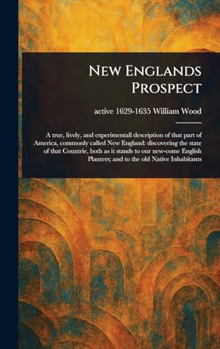 New Englands Prospect von Anson Street Press