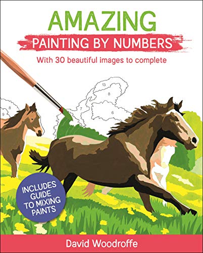 Amazing Painting by Numbers: With 30 Beautiful Images to Complete. Includes Guide to Mixing Paints (Arcturus Painting by Numbers)