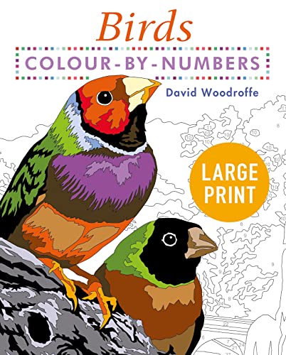 Large Print Colour by Numbers Birds: Easy-to-Read (Arcturus Large Print Colour by Numbers Collection)
