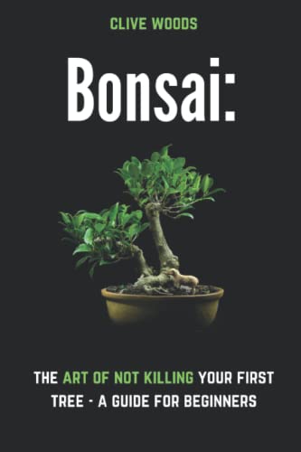 Bonsai: The art of not killing your first tree – A guide for beginners