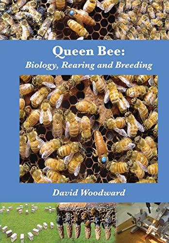 Queen Bee: Biology, Rearing and Breeding von Northern Bee Books