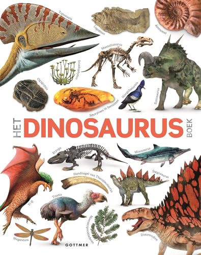 Het dinosaurus boek von Gottmer
