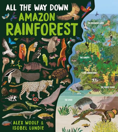 All the Way Down: Amazon Rainforest