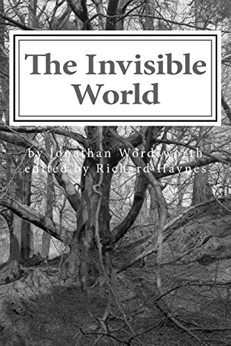 The Invisible World: Lectures on British Romantic Poetry and the Romantic Imagination