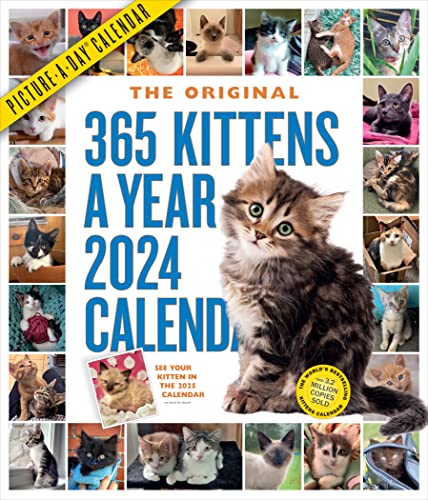 365 Kittens-A-Year Picture-A-Day Wall Calendar 2024: Absolutely Spilling Over With Kittens von Workman Publishing