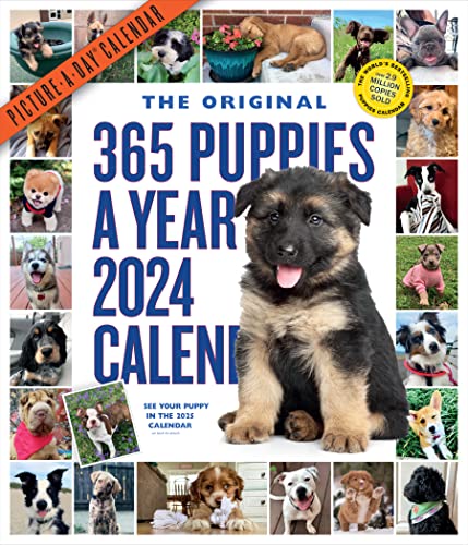 365 Puppies-A-Year Picture-A-Day Wall Calendar 2024: Absolutely Spilling Over With Puppies von Workman Publishing