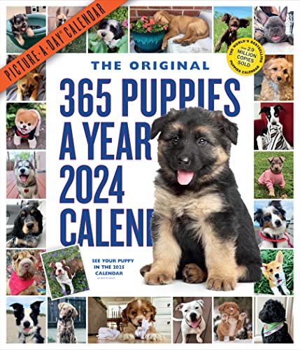 365 Puppies-A-Year Picture-A-Day Wall Calendar 2024: Absolutely Spilling Over With Puppies 365 Puppies-A-Year Picture-A-Day Wall Calendar 2024: Absolutely Spilling Over With Puppies