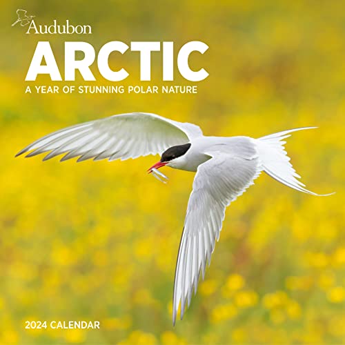 Audubon Arctic Wall Calendar 2024: A Year of Stunning Polar Nature Audubon Arctic Wall Calendar 2024: A Year of Stunning Polar Nature