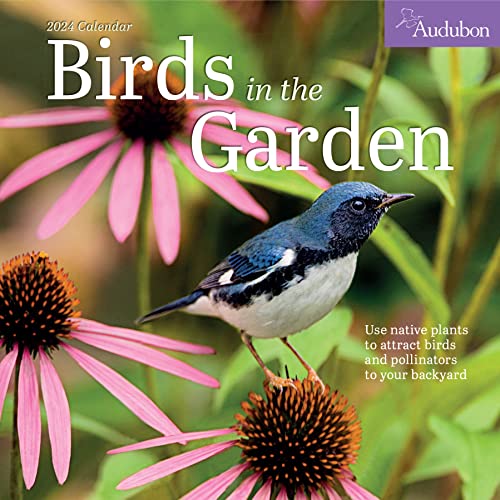 Audubon Birds in the Garden Wall Calendar 2024: Use Native Plants to Attract Birds and Pollinators to Your Backyard von Workman Publishing Company
