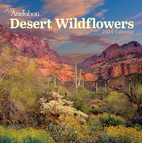 Audubon Desert Wildflowers Wall Calendar 2024: A Visual Delight for Nature Lovers von Workman Publishing Company