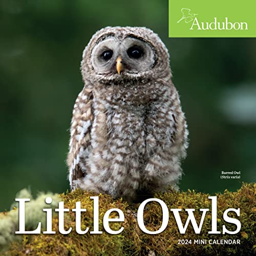 Audubon Little Owls Mini Wall Calendar 2024: A Year of Fluffy and Round Owls von Workman Publishing Company