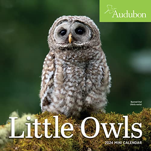 Audubon Little Owls Mini Wall Calendar 2024: A Year of Fluffy and Round Owls Audubon Little Owls Mini Wall Calendar 2024: A Year of Fluffy and Round Owls