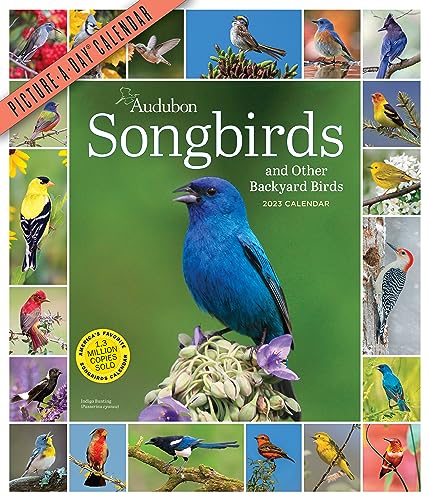 Audubon Songbirds and Other Backyard Birds Picture-A-Day Wall Calendar 2023: A Beautiful Bird Filled Way to Keep Track of 2023 von Workman Publishing
