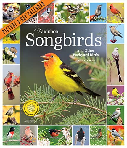 Audubon Songbirds and Other Backyard Birds Picture-A-Day Wall Calendar 2024: A Beautiful Bird Filled Way to Keep Track of 2024 von Workman Publishing