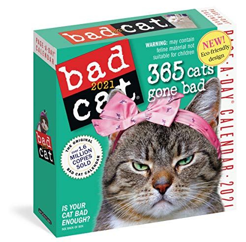 Bad Cat 2021 Calendar Bad Cat 2021 Calendar