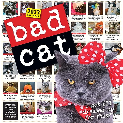 Bad Cat Wall Calendar 2023: Celebrating the Misfits of the Feline World