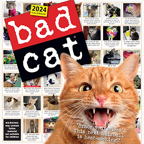 Bad Cat Wall Calendar 2024: Celebrating the Misfits of the Feline World Bad Cat Wall Calendar 2024: Celebrating the Misfits of the Feline World