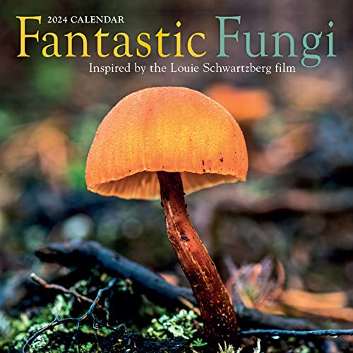 Fantastic Fungi Wall Calendar 2024: Inspired by the Louie Schwartzberg Film von Workman Publishing