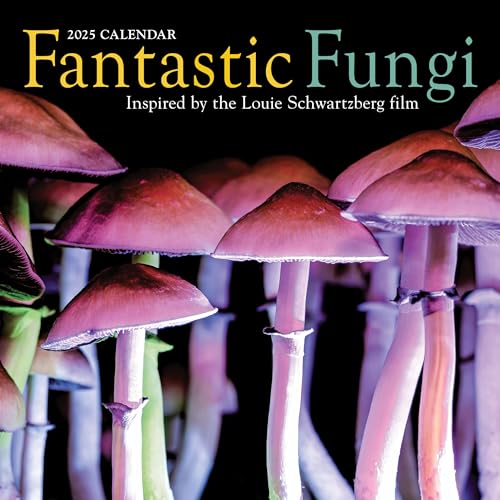 Fantastic Fungi Wall Calendar 2025: Inspired by the Louie Schwartzberg Film Fantastic Fungi Wall Calendar 2025: Inspired by the Louie Schwartzberg Film von Workman Calendars