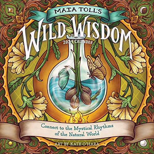 Maia Toll's Wild Wisdom Wall Calendar 2024: Connect to the Mystical Rhythms of the Natural World von Workman Publishing