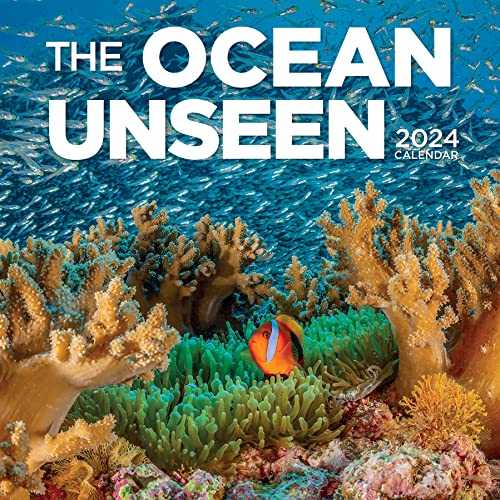 Ocean Unseen Wall Calendar 2024: A Breathtaking Visual Tour of the Ocean’s Great Biodiversity Ocean Unseen Wall Calendar 2024: A Breathtaking Visual Tour of the Ocean’s Great Biodiversity