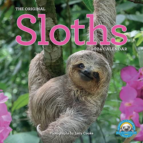 Original Sloths Wall Calendar 2024: The Ultimate Experts at Slowing Down von Workman Publishing Company