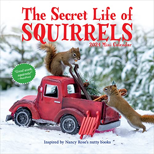 The Secret Life of Squirrels Mini Calendar 2024: Delightfully Nutty Squirrels von Workman Publishing Company