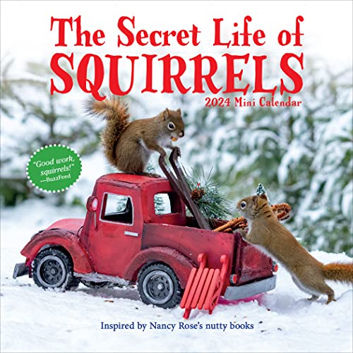 The Secret Life of Squirrels Mini Calendar 2024: Delightfully Nutty Squirrels The Secret Life of Squirrels Mini Calendar 2024: Delightfully Nutty Squirrels
