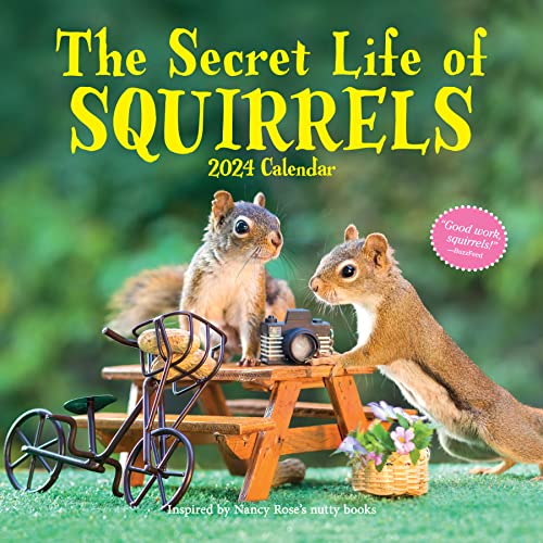 The Secret Life of Squirrels Wall Calendar 2024: A Year of Wild Squirrels