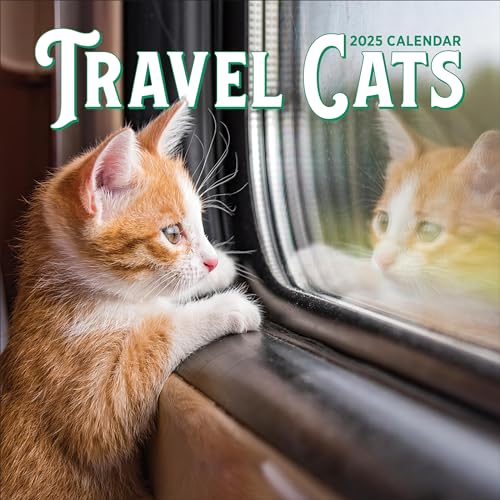 Travel Cats Wall Calendar 2025 Travel Cats Wall Calendar 2025 von Workman Calendars