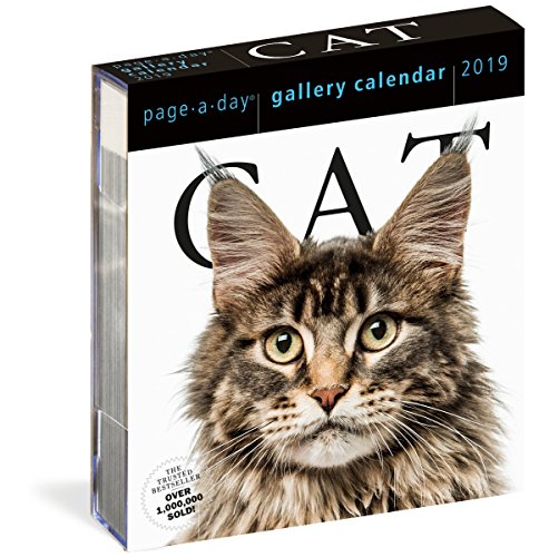 2019 Cat Gallery Page-A-Day Gallery Calendar 2019 Cat Gallery Page-A-Day Gallery Calendar