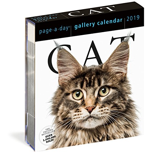 2019 Cat Gallery Page-A-Day Gallery Calendar