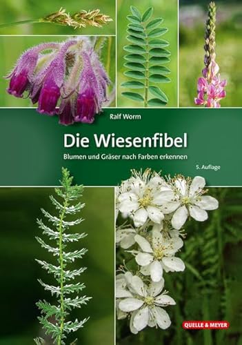 Die Wiesenfibel: Blumen und Gräser nach Farben erkennen