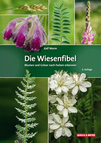 Die Wiesenfibel: Blumen und Gräser nach Farben erkennen von Quelle & Meyer