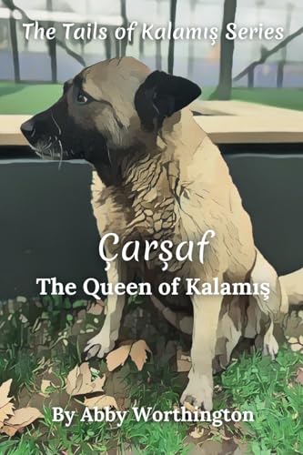 Çarşaf - The Queen of Kalamış (Tails of Kalamış, Band 1) von Self Published