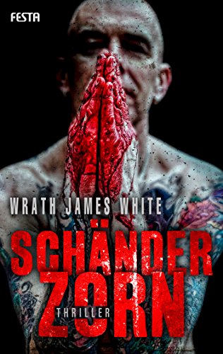 Schänderzorn: Thriller