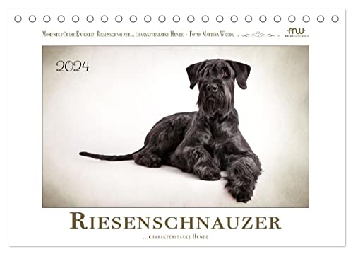 Riesenschnauzer... charakterstarke Hunde (Tischkalender 2024 DIN A5 quer), CALVENDO Monatskalender