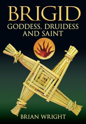 Brigid Goddess Druidess and Saint von History Press (SC)