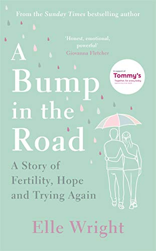 A Bump in the Road: A Story of Fertility, Hope and Trying Again von Lagom
