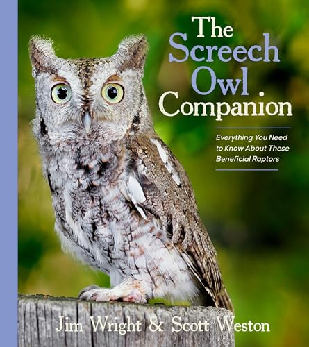 The Screech Owl Companion: Everything You Need to Know about These Beneficial Raptors
