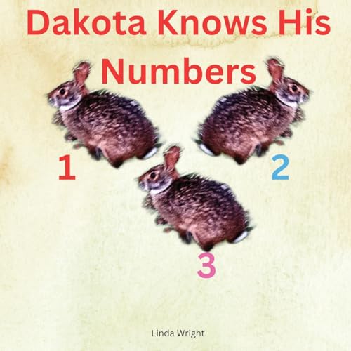Dakota Knows His Numbers 123 von Linda Wright