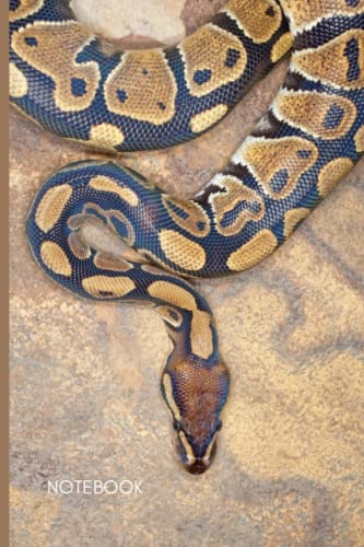 Ball Python Snake Notebook: Cute Ball Python Lined Journal, The Perfect Novelty Snake Gift for a Anyone who Loves Royal Pythons, Ball Pythons or Snakes von Independently published
